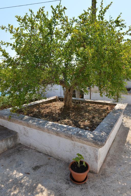 Masseria Gravinella ฟาซาโน ภายนอก รูปภาพ